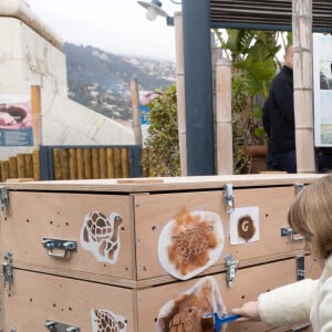 Dans le cadre d'un programme de renforcement des populations locales, l'Institut océanographique de Monaco transfère 46 tortues sillonnées au Sénégal. Ce samedi 10 décembre, 46 tortues juvéniles ont quitté le Musée océanographique de Monaco pour rejoindre le Village des Tortues de Noflaye, au Sénégal, dans le cadre d'un projet de renforcement des populations. Cette première étape, qui s'inscrit dans un programme d'une durée de 3 ans, s'est déroulée en présence et avec la participation de LL.AA.SS. le Prince Albert II et la Princesse Charlène de Monaco, accompagnés de Leurs enfants, LL.AA.SS. le Prince Héréditaire Jacques et la Princesse Gabriella. © Olivier Huitel / Pool Monaco / Bestimage 