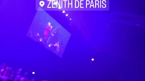 Anne-Élisabeth Lemoine sur scène au concert de Matthieu Chedid le 21 décembre 2022 au Zénith de Paris.