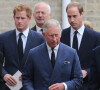 Prince Harry, Prince William et Prince Charles - La famille royale d'Angleterre assiste aux obsèques de Hugh van Cutsem en la cathédrale de Brentwood. 