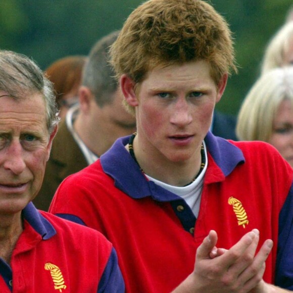 Le prince Charles, prince de Galles devenu le le roi Charles III d'Angleterre et le prince Harry jouent au polo pour un match de charité au Cirencester Park Polo Club, le 05/07/2003 .