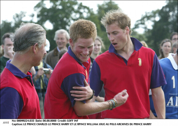 Le prince Charles, prince de Galles devenu le le roi Charles III d'Angleterre, le prince William et le prince Harry jouent au polo pour un match de charité au Cirencester Park Polo Club, le 05/07/2003 .