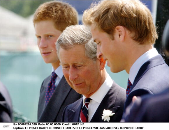 Le roi Charles III, ses fils les princes William et Harry