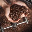 Optez pour l'une de ces 3 machines à café avec broyeur intégré !