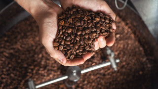Optez pour l'une de ces 3 machines à café avec broyeur intégré !