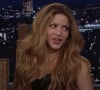 Shakira se confie sur sa séparation