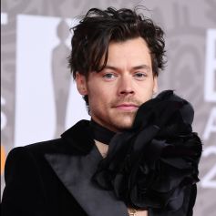 En plein tournée mondiale, le chanteur Harry Styles a été aperçu en bonne compagnie ce week-end à Tokyo.
Harry Styles au photocall de la cérémonie des Brit Awards à l'O2 Arena à Londres.