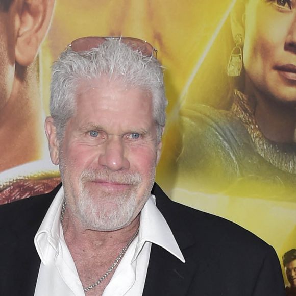 Ron Perlman et Allison Dunbar - Première du film "Shazam ! La rage des Dieux" à Los Angeles, le 14 mars 2023.
