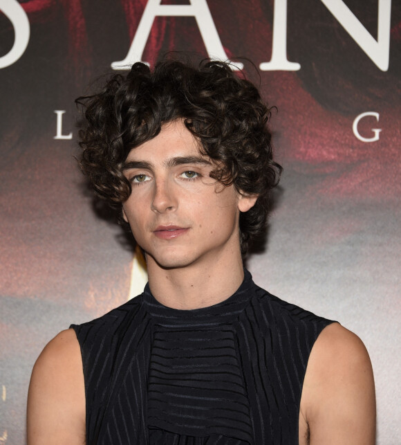 Kylie Jenner passe de plus en plus de temps avec l'acteur franco-américain Timothé Chamalet.
Timothée Chalamet au photocall du film "Bones And All" à Milan, Italie, le 12 novembre 2022. 