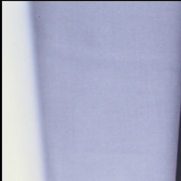 Jean-Jacques Goldman le 13 février 1993