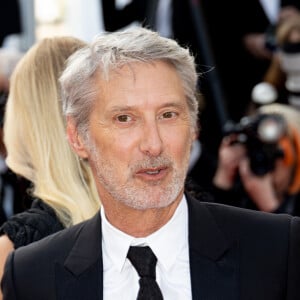 Antoine de Caunes - Montée des marches du film " La passion de Dodin Bouffant " lors du 76ème Festival International du Film de Cannes, au Palais des Festivals à Cannes. Le 24 mai 2023 © Jacovides-Moreau / Bestimage 