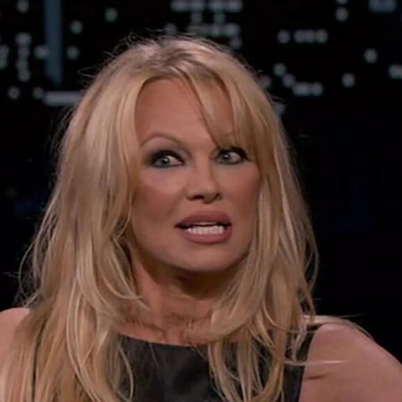 Pamela Anderson s'est retrouvée gênée lorsque son caniche en forme de ballon a pris une forme phallique, lors de son apparition dans l'émission Jimmy Kimmel Live ! 