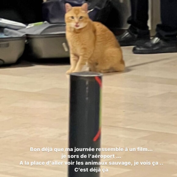 Coralie Porrovecchio, Instagram.
