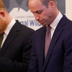 Mais les deux frères en sont encore assez loin !
Le prince William, duc de Cambridge, et le prince Harry, duc de Sussex, lors de la conférence "2018 Illegal Wildlife Trade" au palais St James à Londres. Le 10 octobre 2018  10 October 2018