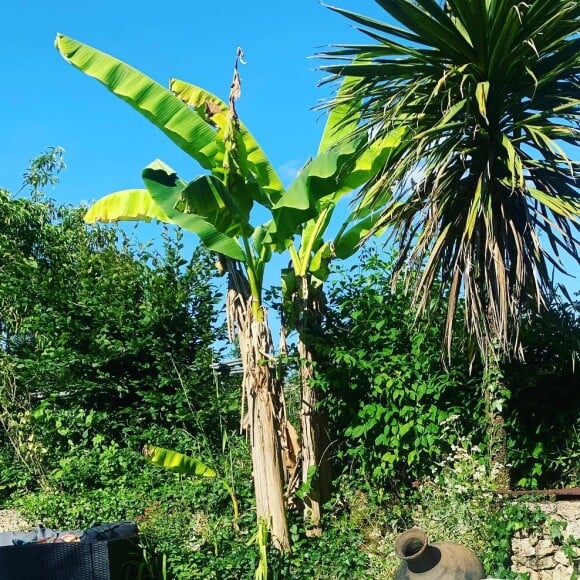 Dans son "paradis sur Terre" très ensoleillé, situé près de Bordeaux !