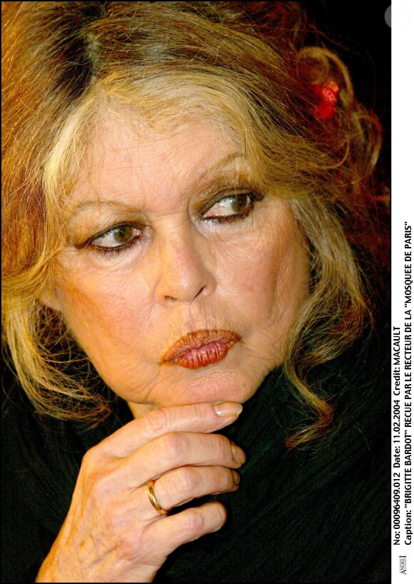 Brigitte Bardot reçue par le recteur de la Mosquée de Paris.