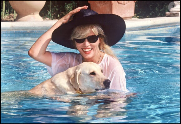 Elle avait d'abord habité à Saint Rémy de Provence avant de se poser dans les Alpilles. 
Amanda Lear en Provence.