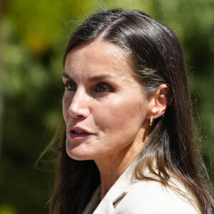 Letizia d'Espagne au coeur d'une polémique

La princesse Leonor arrive en famille avec Letizia d'Espagne à l'académie militaire de Saragosse pour sa formation de cadette.