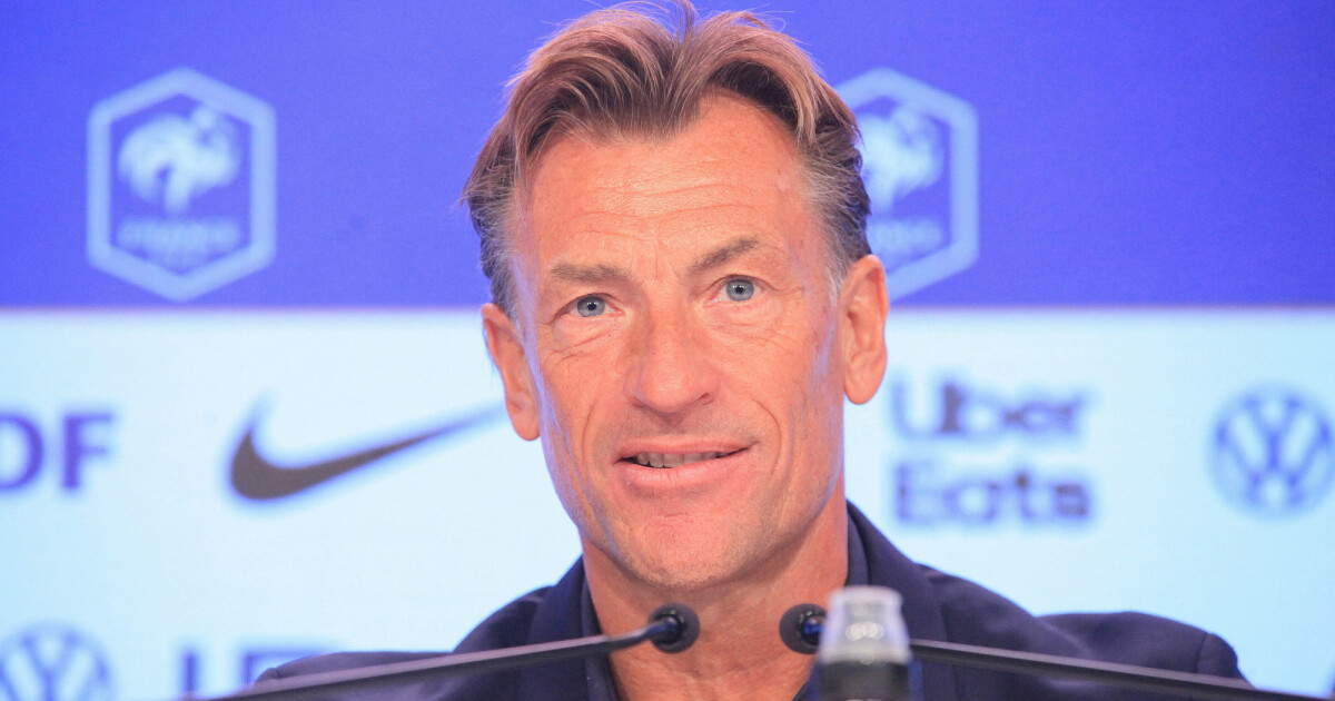 Gros Sacrifice Financier Hervé Renard Lentraîneur Des Bleues A Divisé Son Salaire Par 20