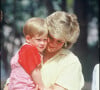 Nos confrères et les internautes ont tiqué quant à la ressemblance du garçonnet... Et du prince Harry à son âge !
La princesse Lady Diana et le prince Harry à la Palma de Majorque en 1987. (Bestimage)