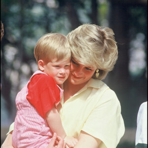 Nos confrères et les internautes ont tiqué quant à la ressemblance du garçonnet... Et du prince Harry à son âge !
La princesse Lady Diana et le prince Harry à la Palma de Majorque en 1987. (Bestimage)