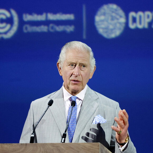 Charles III va devoir ralentir le rythme, éviter les grosses activités et se reposer principalement 
Le roi Charles III d'Angleterre - Ouverture du Sommet mondial d'action pour le climat à Dubaï (Cop28 / 30 novembre - 12 décembre 2023), le 30 novembre 2023. 