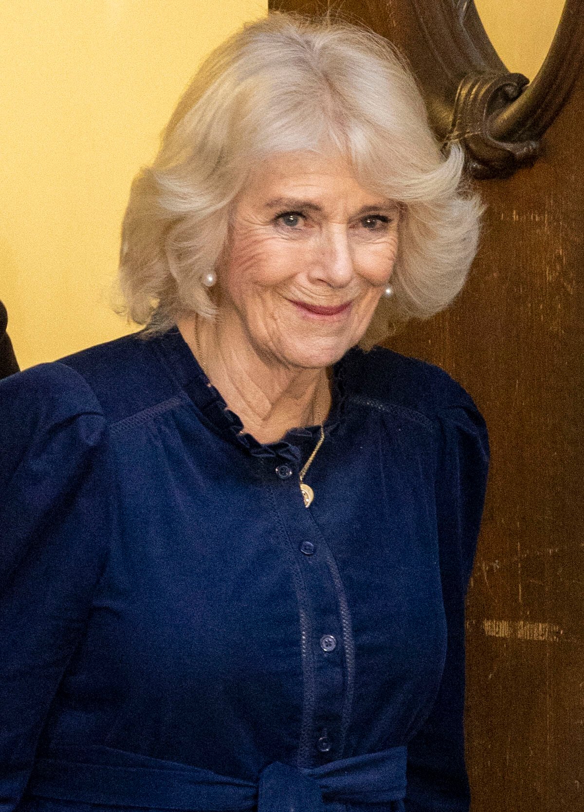 Camilla Parker Bowles: A Royal'S Journey Through Criticism - g5vcgv1
