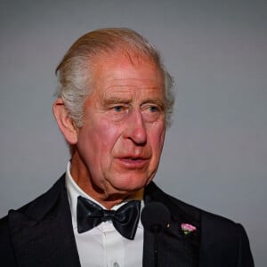 "Et cela en dit long sur l'onde de choc ressentie au Royaume-Uni. La famille royale se réconcilie autour du lit du roi."
Le roi Charles III d'Angleterre - Toast et discours lors du dîner d'Etat au château de Versailles en l'honneur de la visite officielle du roi et de la reine d'Angleterre en France le 20 septembre 2023. © Eric Tschaen / Pool / Bestimage 