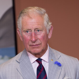 Le prince Charles et Camilla Parker Bowles ont été reçus par Justin Trudeau au Rideau Hall à Ottawa, à l'occasion de leur voyage de trois jours au Canada. Le 1er juillet 2017.