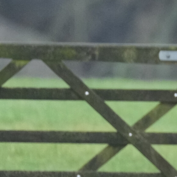 Charles III et la reine Camilla arrivent à la messe de St Mary Magdalene Church à Sandringham, dans le Norfolk. Dimanche 11 février 2024. @ PA Wire/ABACAPRESS.COM