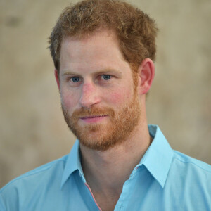 Le prince Harry visite Pigeon Island à côté de Sainte-Lucie, le 25 novembre 2016 à l'occasion de son voyage officiel de 15 jours dans les Caraïbes. De nombreux projets de jeunes lui ont été présentés. Il a même planté un arbre avec une jeune fille. 