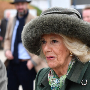 Camilla Parker Bowles, reine consort d'Angleterre arrive au festival de Cheltenham 2024 le 13 mars 2024.