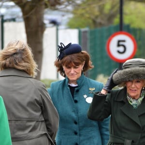 Camilla Parker Bowles, reine consort d'Angleterre arrive au festival de Cheltenham 2024 le 13 mars 2024. 