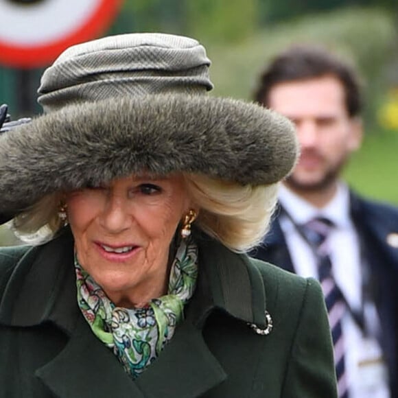 Camilla Parker Bowles, reine consort d'Angleterre arrive au festival de Cheltenham 2024 le 13 mars 2024. 