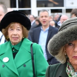 Camilla Parker Bowles, reine consort d'Angleterre arrive au festival de Cheltenham 2024 le 13 mars 2024. 