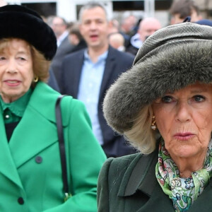 Camilla Parker Bowles, reine consort d'Angleterre arrive au festival de Cheltenham 2024 le 13 mars 2024. 
