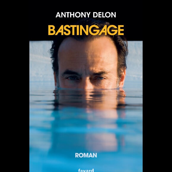 Anthony Delon, "Bastingage".