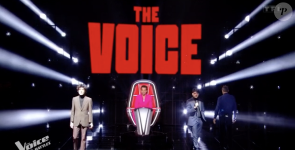 Extrait de l'émission "The Voice" du 6 avril 2024, TF1