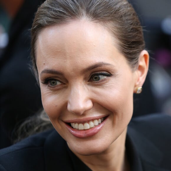 Cette fois-ci, l'actrice lui reproche de vouloir la "saigner financièrement", selon le média Daily Mail.
 
Brad Pitt et Angelina Jolie à l'arrivée pour l'avant-première du film "World War Z", à Paris.