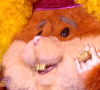 Le Hamster, "Mask Singer", TF1.