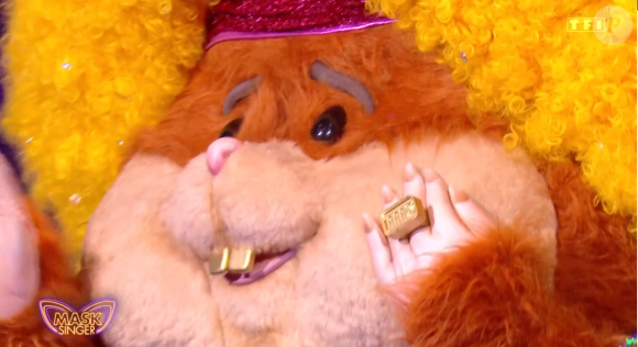 Le Hamster, "Mask Singer", TF1.