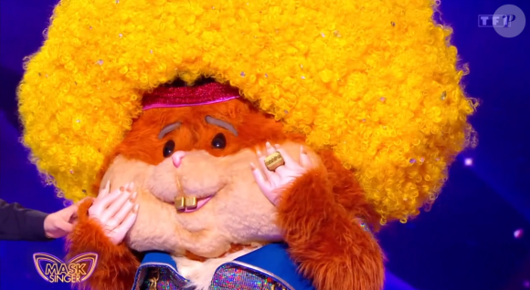 Le Hamster, "Mask Singer", TF1.