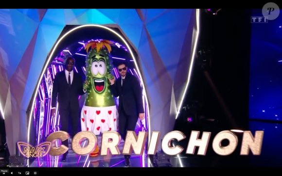 Le Cornichon, "Mask Singer", TF1.