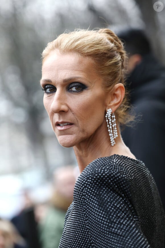 En quelques secondes, elle s'était retrouvée sous le pare-chocs d'une voiture avec une fracture du crâne et une commotion cérébrale.
Céline Dion arrive au défilé de mode Haute-Couture printemps-été 2019 " Alexandre Vauthier" au Grand Palais à Paris le 22 janvier 2019 