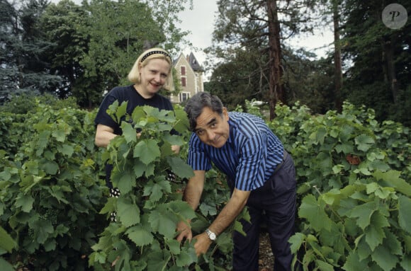 En France, à Quincié-en-Beaujolais, rendez-vous avec Bernard Pivot et Monique Dupuis à leur domicile, dans leur vigne. Août 1991 © Alain Canu via Bestimage