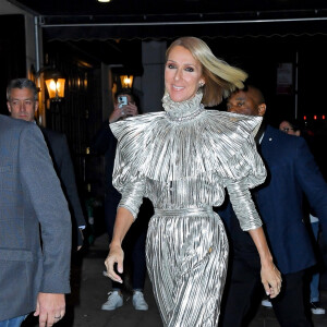 Elle a récemment été vue dans le public d'un concert des Rolling Stones donné à Las Vegas, où Céline fut pendant très longtemps artiste résidente 
Celine Dion arbore une combinaison argentée de la marque Rodarte et des talons Gucci à son arrivée au restaurant/bar Lips Drag Queen Show Palace à New York, le 14 novembre 2019 