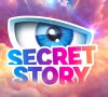 Nouvelle élimination dans "Secret Story" ce vendredi.
"Secret Story", TF1.
