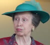 La princesse Anne s'est rendue à Royal Ascot, meeting hippique très apprécié par la royauté
La princesse Anne - La famille royale d'Angleterre aux courses hippiques "Royal Ascot" à Ascot