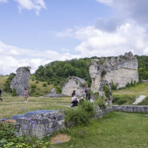 Les Andelys (27) : vue sur le chateau fort de Chateau Gaillard dans la vallee de la Seine aux Andelys. Les ruines de la forteresse medievale edifiee sur les falaises calcaires du bord de Seine au XIIeme siecle (12eme) par le roi Richard Ier, Richard Coeur de Lion - Photo by Matarezo/ANDBZ/ABACAPRESS.COM