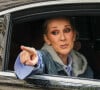 Visiblement pas fan deDonald Trump, Céline Dion a fermement réagi après avoir appris l'utilisation de son titre My Heart Will Go On au cours d'une de ses représentations dans la ville de Bozeman
Archives : Celine Dion