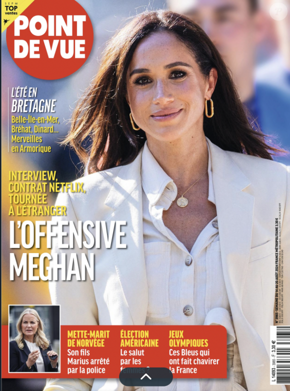 Analyse de la situation professionnelle de Meghan et Harry dans Point de vu